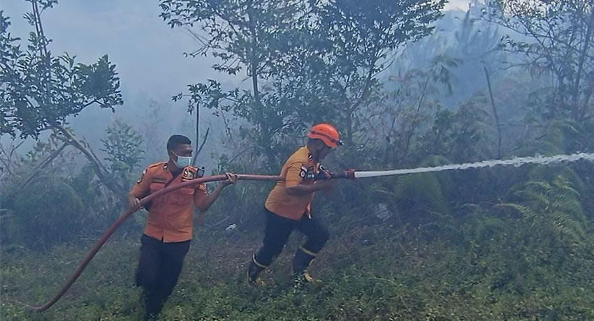 Juni-Juli 1.804 Hektare Karhutla di Kawasan Danau Toba, Bobby Nasution Minta Sinergi Cegah dan Atasi