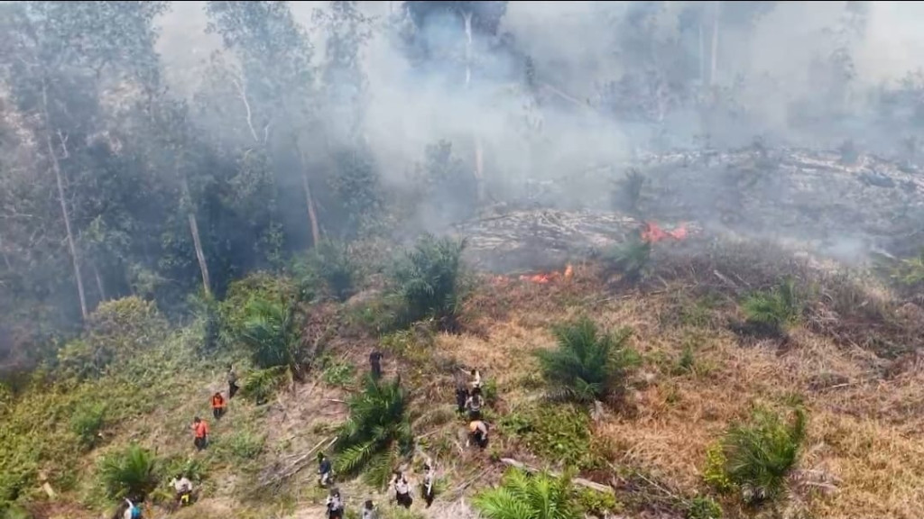 Karhutla di Riau Capai 1.000 Hektare, Polda Riau Tetapkan 29 Orang Tersangka